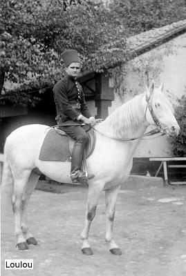 Gilbert 11