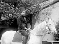 Gilbert 11